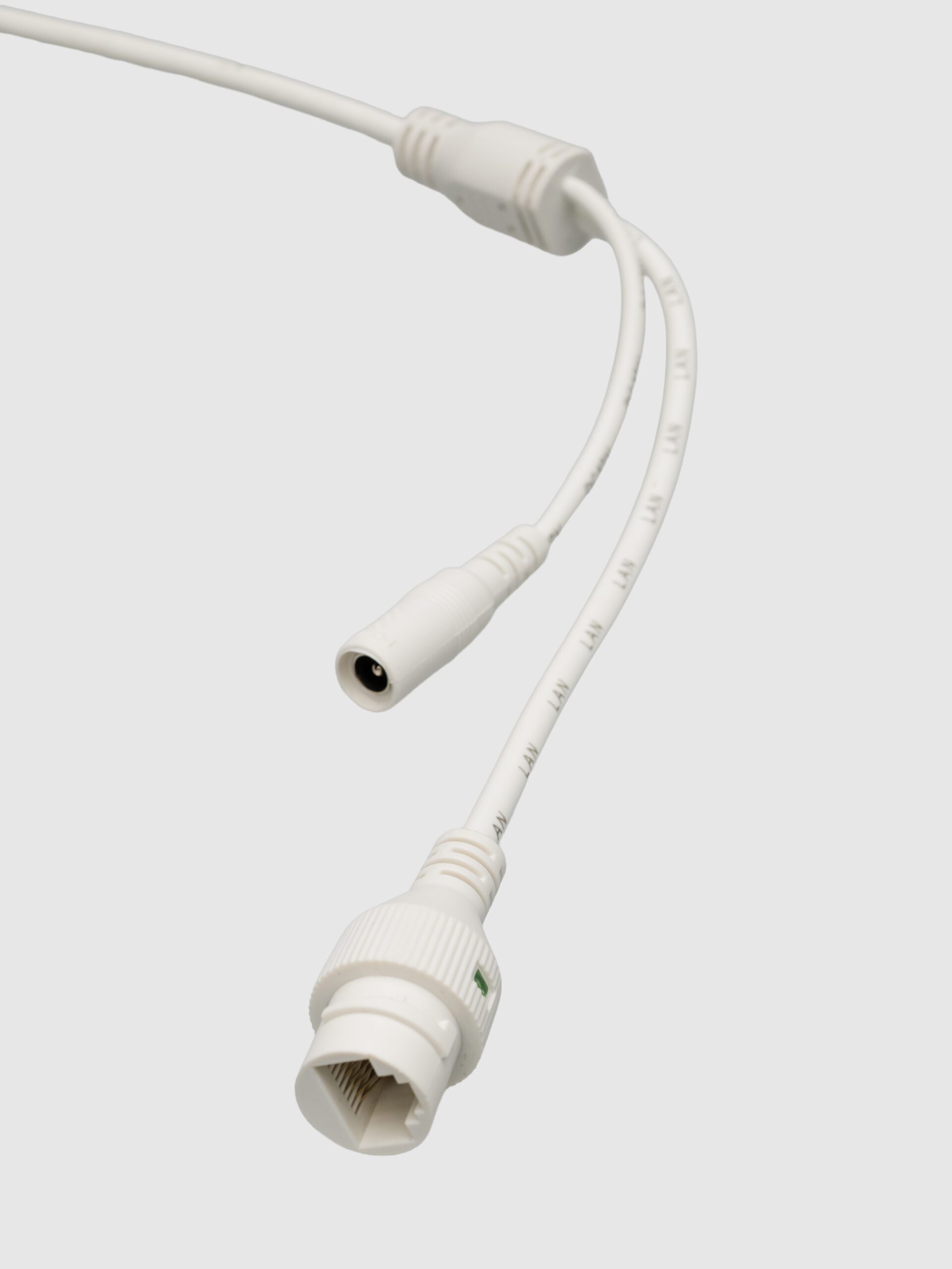 Pro B1